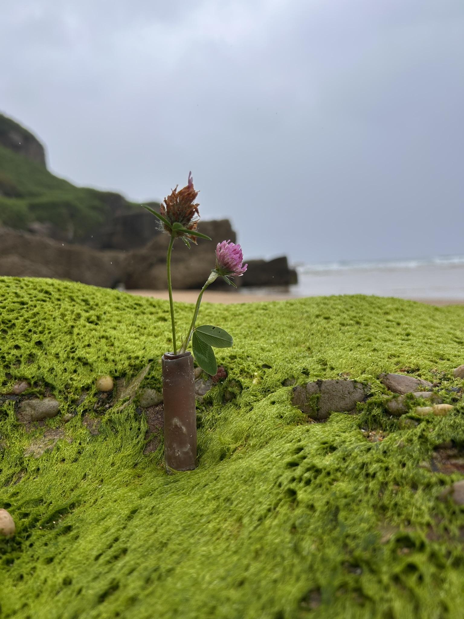Seaweed mascara refill capsule among algae